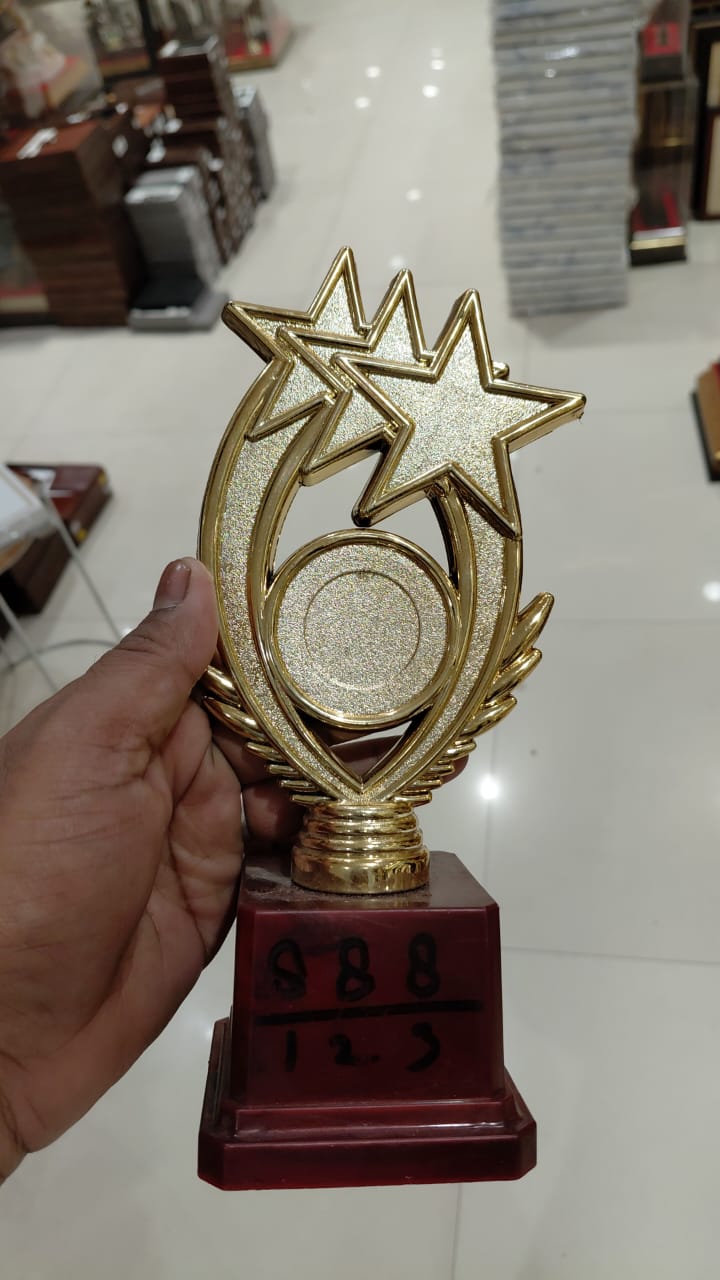 Gold star trophy with a round centre disc on a maroon base